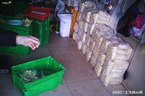 年关武汉市场大量 药水漂白芋头 流向社会